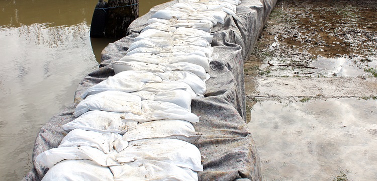 毒情監(jiān)測-污水驗(yàn)毒檢測