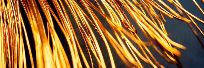 食品中蛋白質(zhì)的測定|蛋白質(zhì)檢測方法