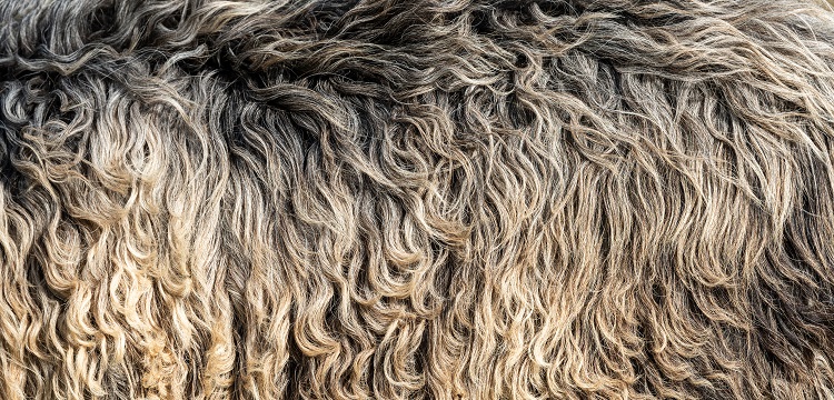 304不銹鋼做RoHS檢測(cè)需要檢測(cè)哪些項(xiàng)目?歐盟ROHS認(rèn)證是什么 做外貿(mào)的朋友快來了解一下