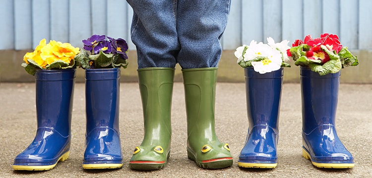 求問(wèn)毒理未來(lái)的前景在何方 ?氟唑磺隆flucarbazone-sodium毒理數(shù)據(jù)有查詢到的嗎 