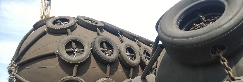 求問毒理未來的前景在何方 ?求問毒理未來的前景在何方 