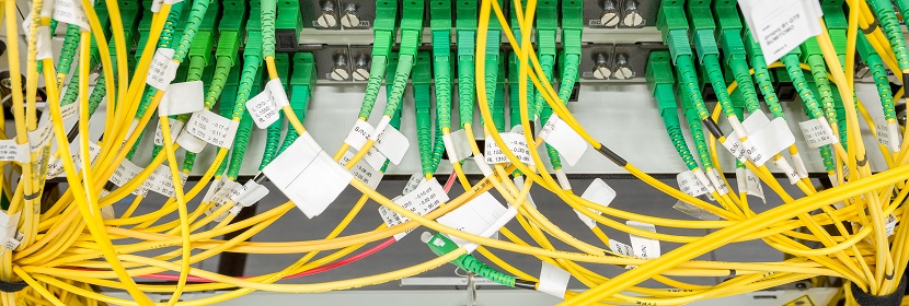 公共衛生考研，這是最好的時期?。?！?【2022為民實事系列評論】筑牢公共衛生防護網，是須臾不可放松的大事 健明迪檢測