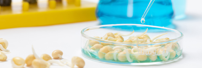 食品毒害物質測試