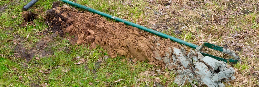 甾醇類檢測(cè)