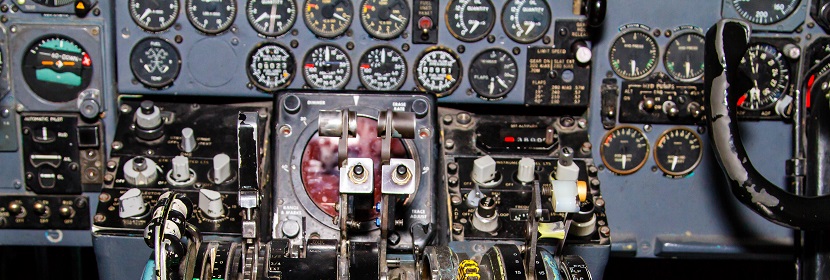 毛蕊花糖苷檢測