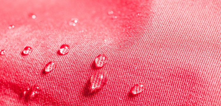 腦特異表達的CYP2E1轉基因大鼠