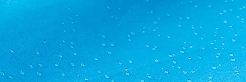 6-羥多巴胺誘導(dǎo)大鼠帕金森模型