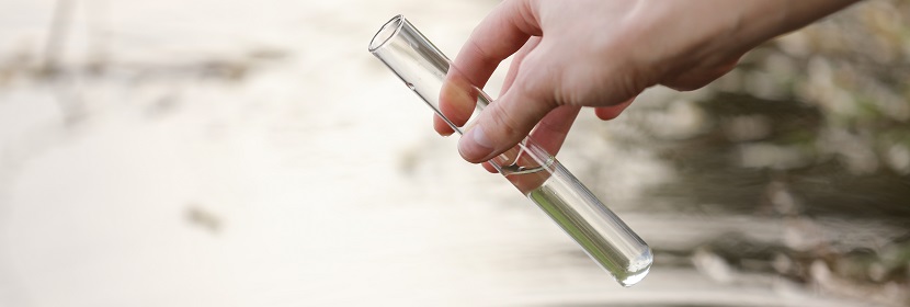 馬來酸酐檢測(cè)