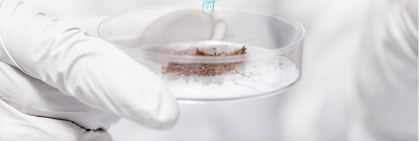 納米復(fù)合材料檢測